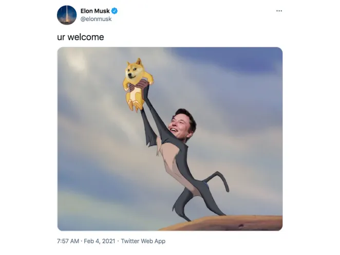 Meme币是Wall Street Bets现象的回归吗？ image 4