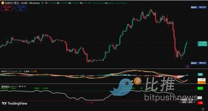 BTC周观察：市场暗语已出现？附动态止盈策略建议 image 2